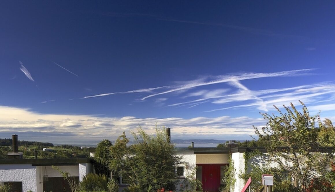 IN3G8905_1__01_fb0ad7a762