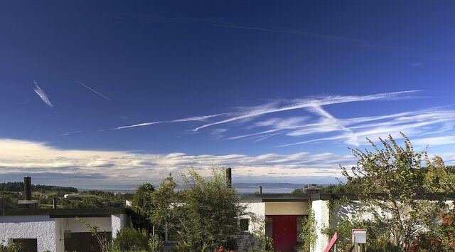 IN3G8905_1__01_fb0ad7a762