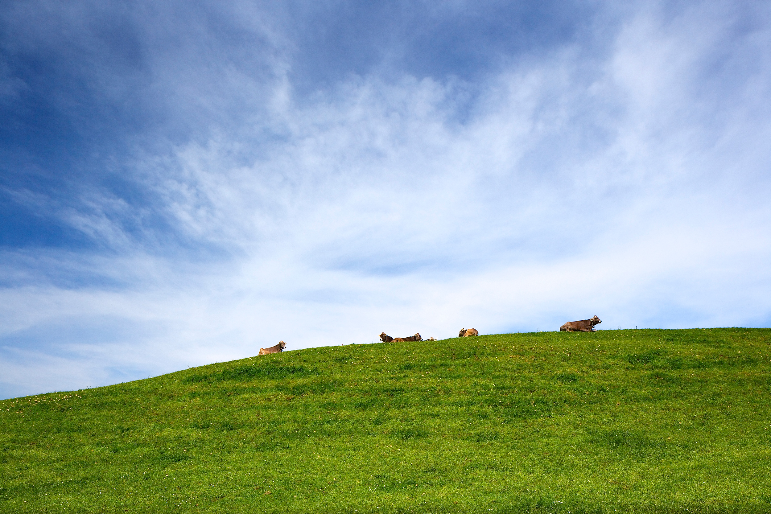 bbr-Herisau-Stoll-JPG---02